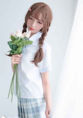 完美伴侣