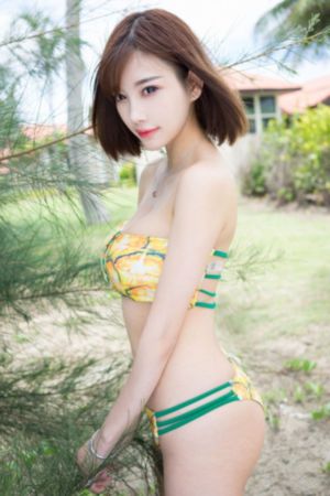 妻孝续集推荐