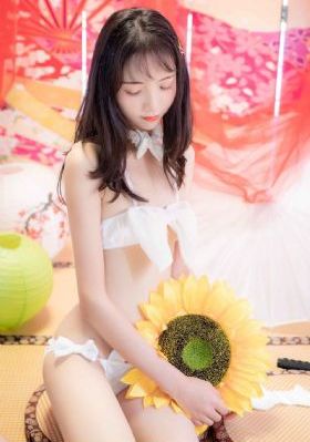 大秦赋全集免费播放